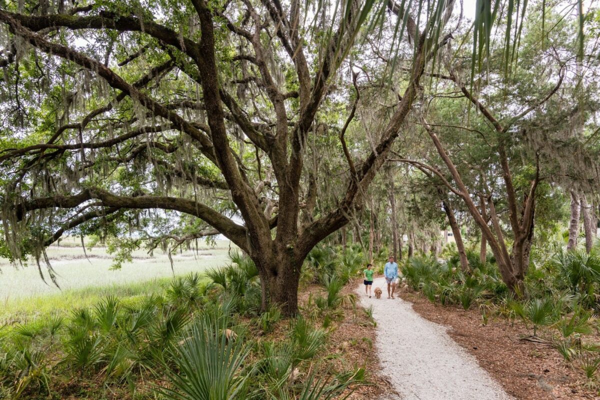 palmetto bluff nature trails