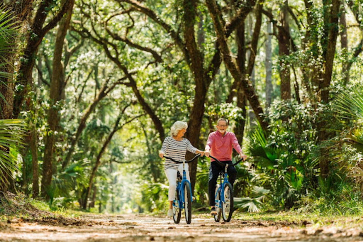 palmetto bluff nature trails