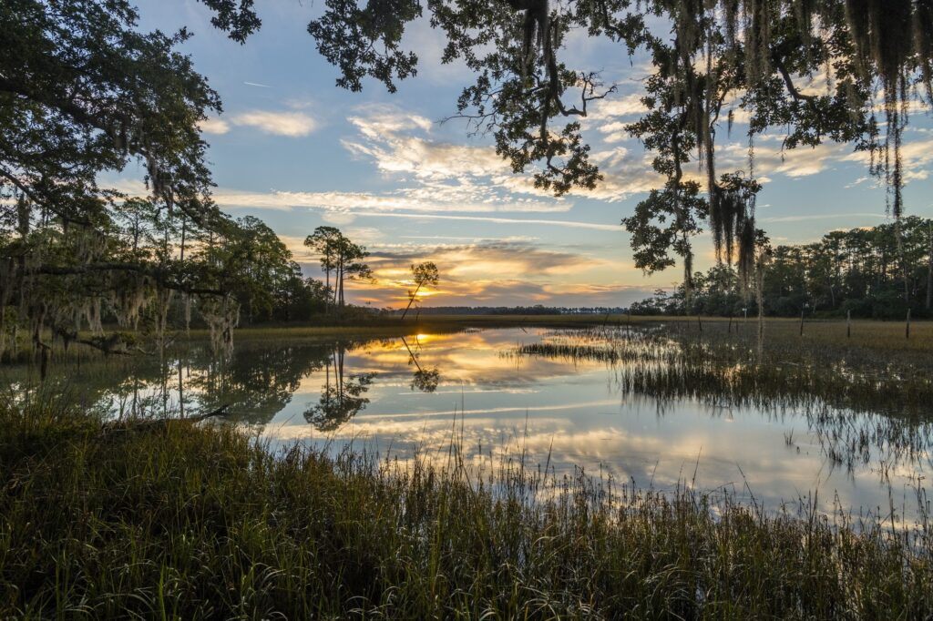 Neighborhood Spotlight River Road Palmetto Bluff