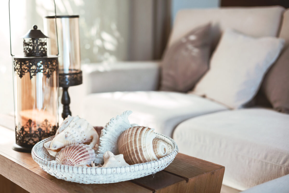 Beach home decorating ideas and accessories - Driftwood and seashells