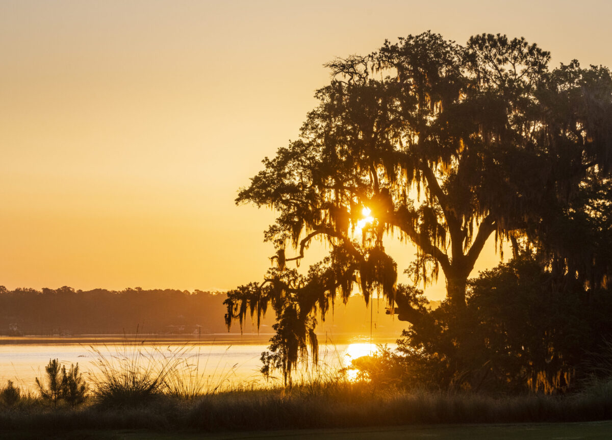 south carolina lowcountry