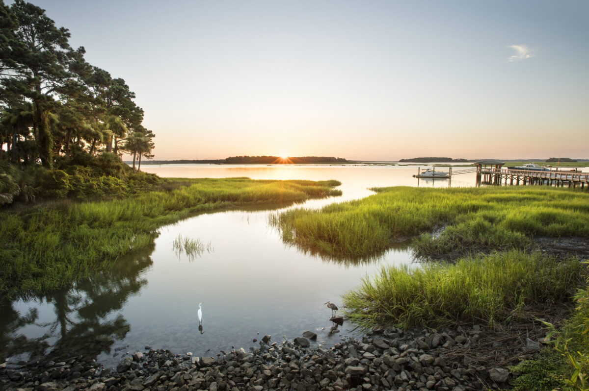 palmetto bluff conservancy 