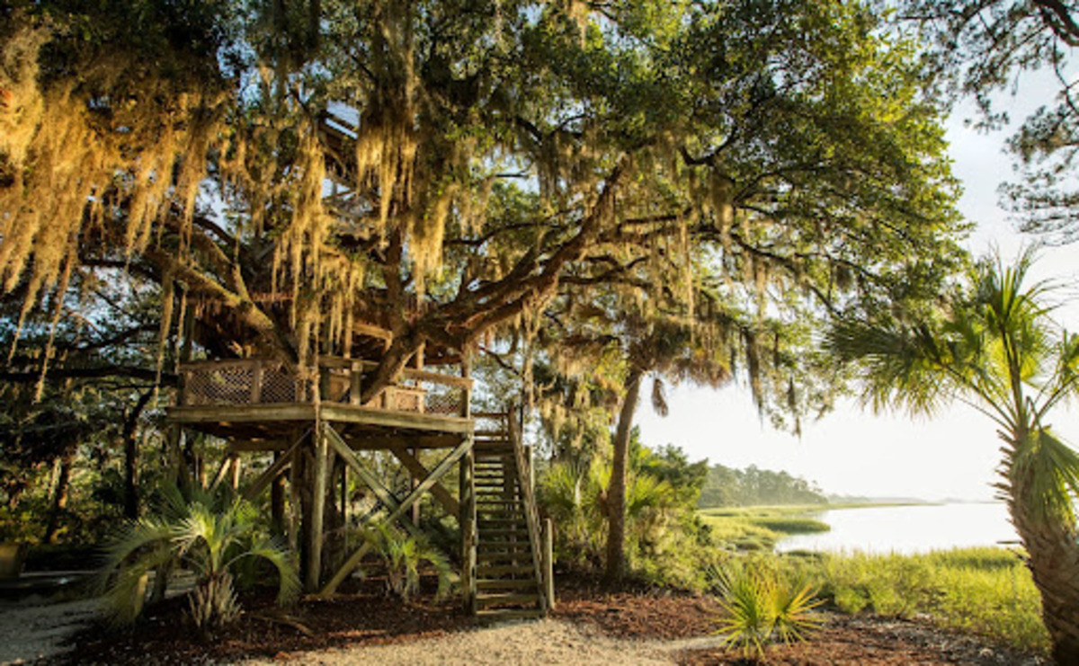 palmetto bluff tree house
