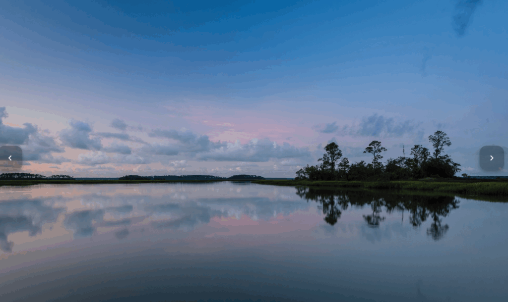 south carolina winter