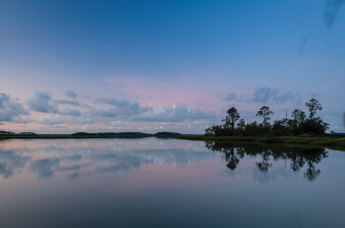 south carolina winter