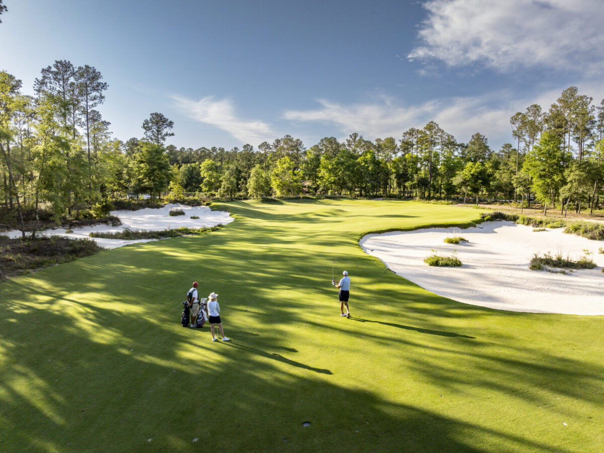Palmetto bluff golf