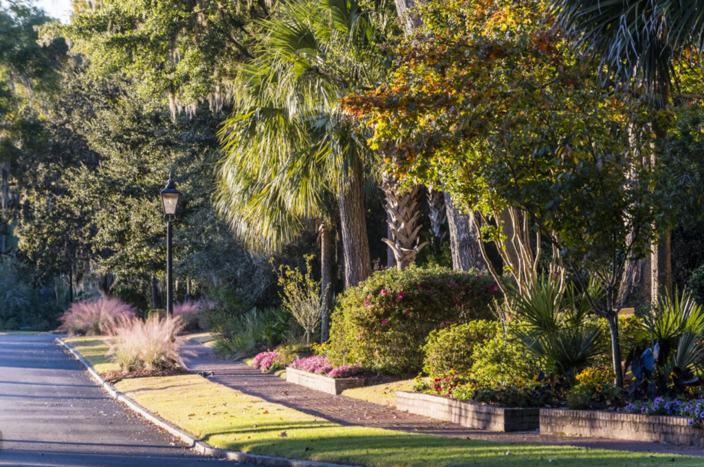 bramble park palmetto bluff