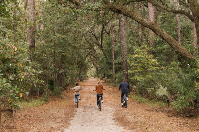 fall in south carolina