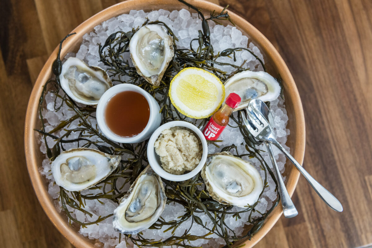 Oyster season in palmetto bluff