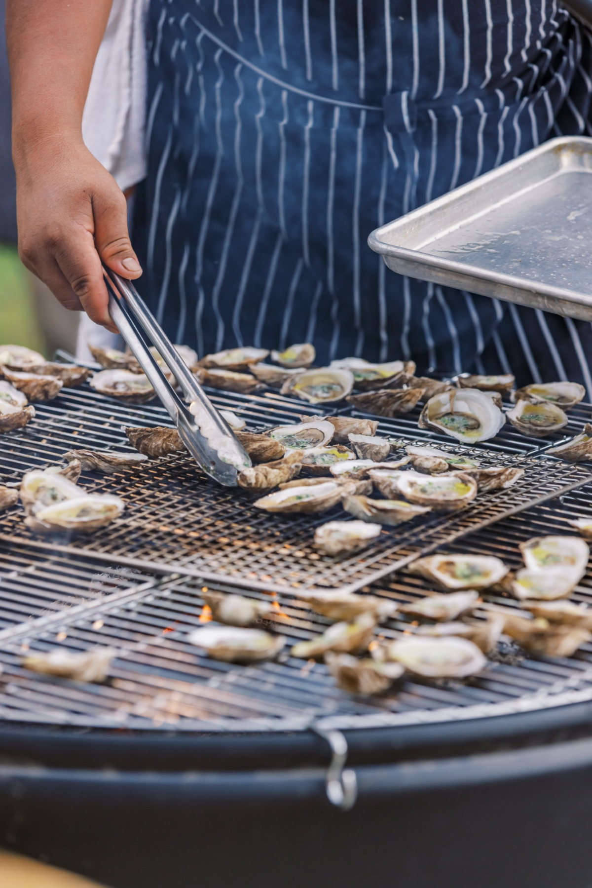 Oyster season in palmetto bluff