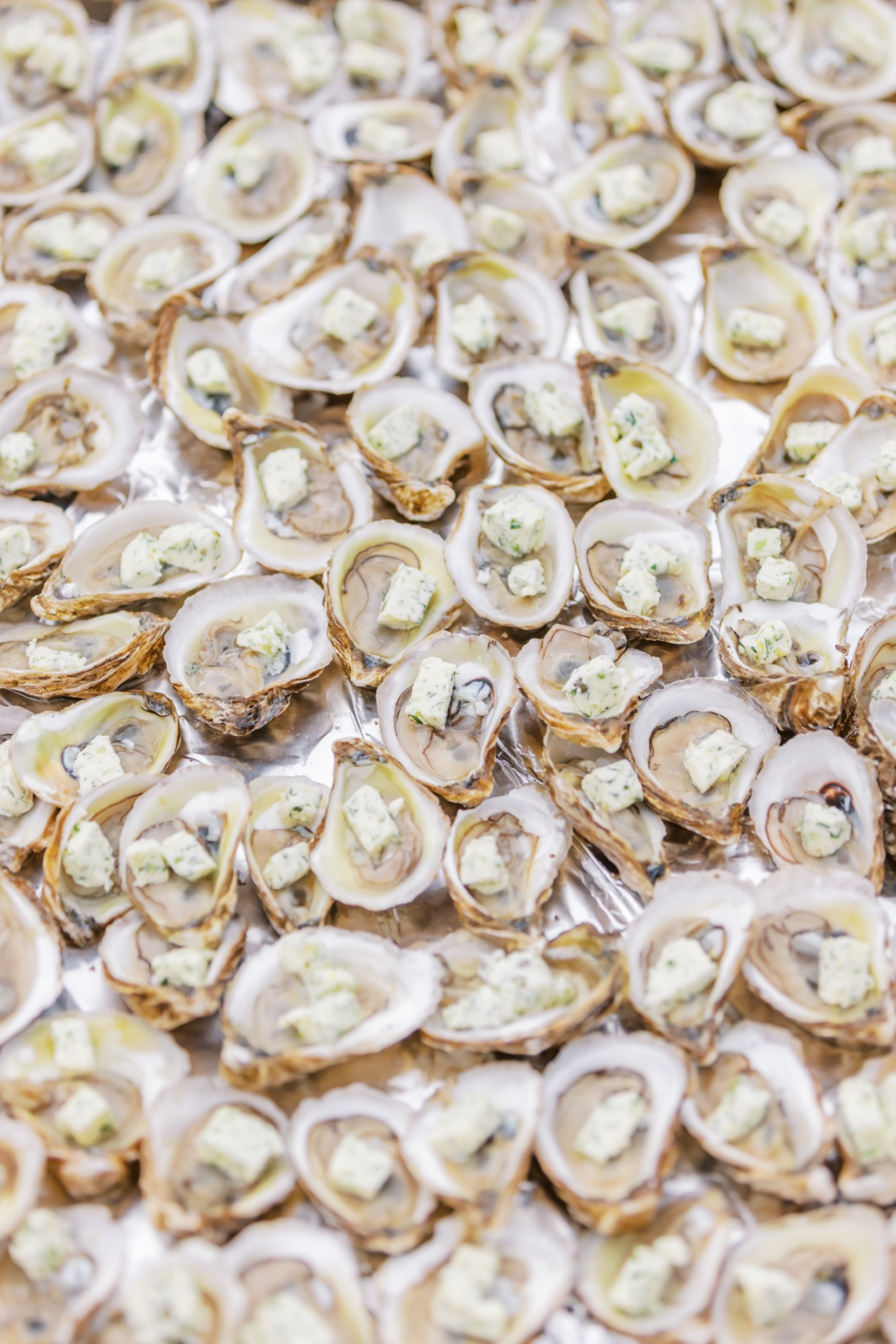 Oyster season in palmetto bluff