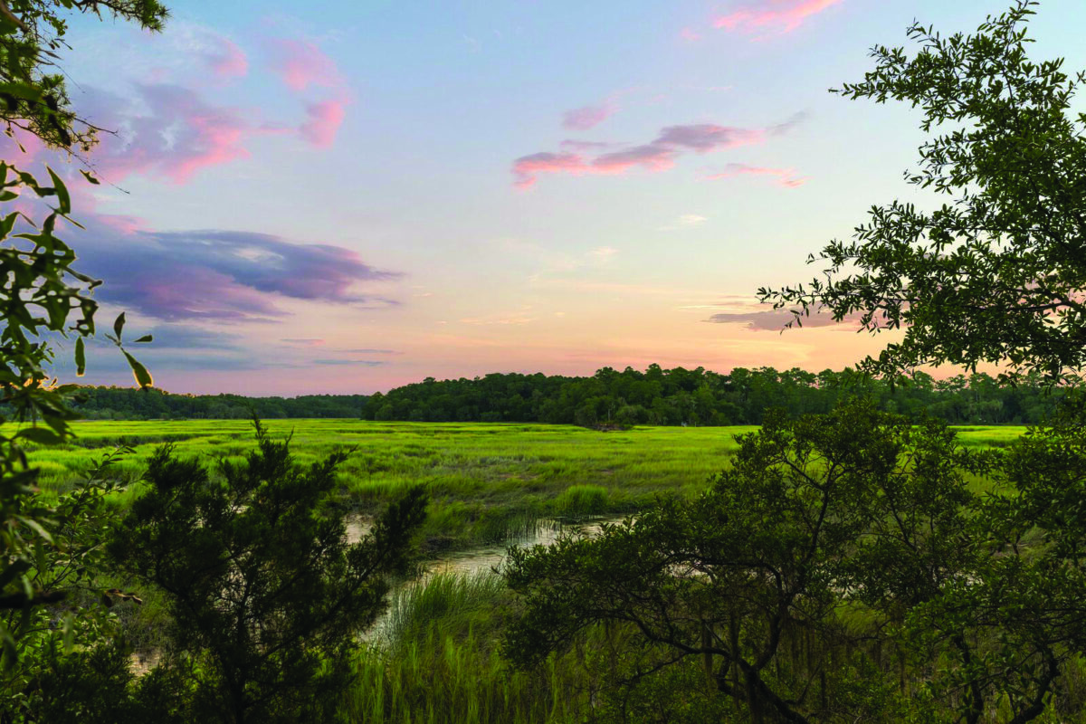 palmetto bluff homes for sale 